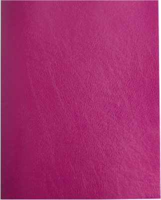 Тетрадь Buro 96л. клет. A5 202х163 1диз. бумвинил скоба