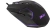 Мышь Acer OMW170 черный оптическая 3200dpi USB 6but (ZL.MCEEE.00R)