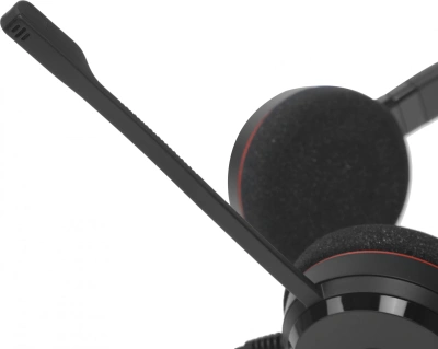 Наушники с микрофоном Jabra Evolve 20 черный накладные USB оголовье (4999-823-169)
