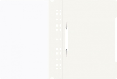 Папка-скоросшиватель Бюрократ PS-P20WH A4 прозрач.верх.лист боков.перф. пластик белый 0.12/0.16