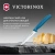 Нож кухонный Victorinox Swiss Classic (6.7732.C1) стальной универсальный для чистки овощей и фруктов лезв.100мм серрейт. заточка синий