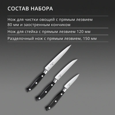 Набор ножей кухон. Victorinox Grand Maitre Cutlery Block 7.7243.6 (7.7243.6) компл.:6предм. с подставкой черный подар.коробка