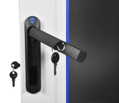 Шкаф коммутационный ЦМО (ШТК-М-42.6.6-1ААА-9005) напольный 42U 600x600мм пер.дв.стекл задн.дв.стал.лист 2 бок.пан. 650кг черный 92.3кг 180град. 2030мм