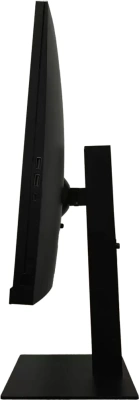 Монитор RDW Computers 31.5" RDW3207 черный IPS 1ms 16:9 HDMI M/M полуматовая HAS Piv 1000:1 350cd 178гр/178гр 2560x1440 100Hz G-Sync FreeSync VGA DP QHD USB (RUS)