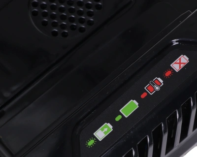 Зарядное устройство Greenworks GC82C (2914707)