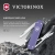 Нож перочинный Victorinox Classic SD Alox Electric Lavender (0.6221.223G) 58мм 5функц. подар.коробка Нож перочинный Victorinox Classic SD Alox Electric Lavender (0.6221.223G) 58мм 5функц. подар.коробка