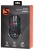 Мышь SunWind SW-M705G черный оптическая 3600dpi USB для ноутбука 6but (1422391)