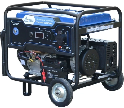 Генератор ТСС SGG 5000EHNA Duplex 5.5кВт