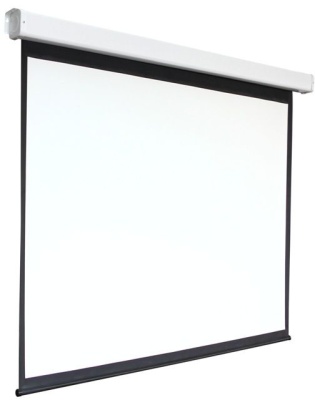 Экран Digis 200" 266x451см Electra-F DSEF-16910 16:9 настенно-потолочный рулонный белый (моторизованный привод)