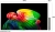 Телевизор OLED LG 65" OLED65B6RLA.ARUG коричневый/серый 4K Ultra HD 120Hz DVB-T2 DVB-C DVB-S2 USB WiFi Smart TV