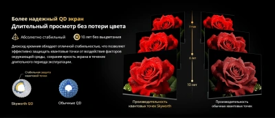 Телевизор QLED Skyworth 65" 65X67H NEXO Mini-LED черный/серый 4K Ultra HD 120Hz MEMC DVB-T DVB-T2 DVB-C DVB-S DVB-S2 USB WiFi Smart TV