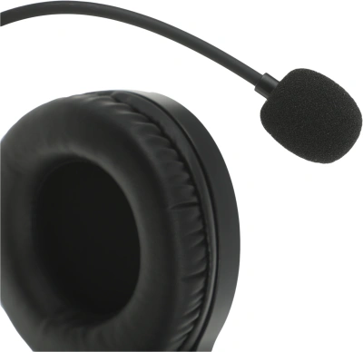 Наушники с микрофоном A4Tech Bloody G220 черный 2м мониторные оголовье (G220 AUX3.5-4PIN + USB)