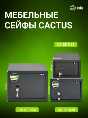 Сейф мебельный Cactus CS-SF-K18L взломостойкий 170x260x230мм ключевой (CS-SF-K18)