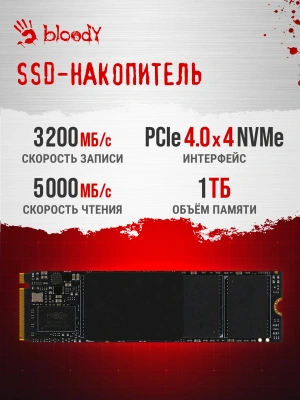 ПК Bloody BD-PC CB76T2 TWR i5 14400F (2.5) 32Gb SSD1Tb RTX5060 8Gb Windows 11 Home 64 2.5xGbitEth 650W черный (RUS) (2141962)