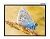 Экран Lumien 146" 229x305см Master Control LMC-100110 4:3 настенно-потолочный рулонный (моторизованный привод)