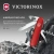 Нож перочинный Victorinox Sportsman (0.3803) 84мм 13функц. красный карт.коробка Нож перочинный Victorinox Sportsman (0.3803) 84мм 13функц. красный карт.коробка