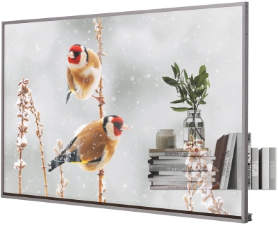 Панель LG 55" 55EW5P-M серебристый OLED LED 8ms 16:9 HDMI матовая 1100:1 600cd 178гр/178гр 1920x1080 DP FHD USB 14.1кг