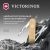 Мультитул Victorinox Companion S Alox (0.6261.28) 5функц. золотистый карт.коробка Мультитул Victorinox Companion S Alox (0.6261.28) 5функц. золотистый карт.коробка