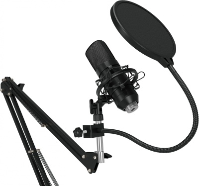 Микрофон проводной Оклик SM-600G 2.5м черный