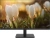 Монитор Dahua 23.8" DHI-LM24-A201A черный IPS LED 5ms 16:9 HDMI M/M матовая HAS Piv 1000:1 250cd 178гр/178гр 1920x1080 100Hz VGA DP FHD 5кг Монитор Dahua 23.8" DHI-LM24-A201A черный IPS LED 5ms 16:9 HDMI M/M матовая HAS Piv 1000:1 250cd 178гр/178гр 1920x1080 100Hz VGA DP FHD 5кг