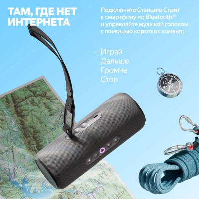 Умная колонка Yandex Станция Стрит Алиса черный 30W 2.0 BT/Wi-Fi 10м 3300mAh (YNDX-00030BLK)