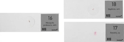 Набор микропрепаратов Levenhuk N18 NG 83предм. прозрачный/черный/оранжевый (29276)