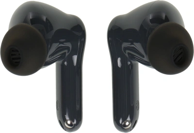 Гарнитура внутриканальные Realme Buds T200 серый беспроводные bluetooth в ушной раковине (6941764462069)