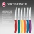 Набор ножей кухон. Victorinox Swiss Classic 6.7836.6C1 компл.:6предм. ассорти европодвес Набор ножей кухон. Victorinox Swiss Classic 6.7836.6C1 компл.:6предм. ассорти европодвес