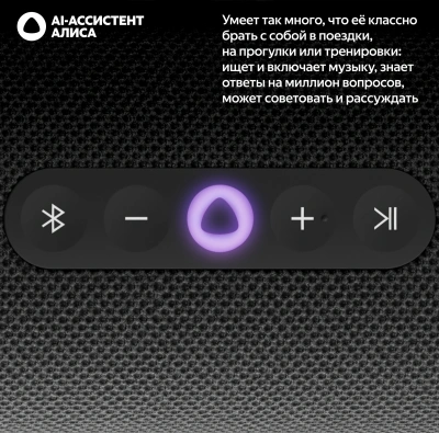 Умная колонка Yandex Станция Стрит Алиса черный 30W 2.0 BT/Wi-Fi 10м 3300mAh (YNDX-00030BLK)