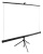 Экран Cactus 89" 160x160см TriExpert CS-PSTE-160x160-BK 1:1 напольный рулонный черный Экран Cactus 89" 160x160см TriExpert CS-PSTE-160x160-BK 1:1 напольный рулонный черный