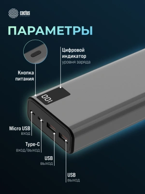 Мобильный аккумулятор Cactus CS-PBFSFA-20000 20000mAh 22.5W 4.5A 2xUSB-A/USB-C серый