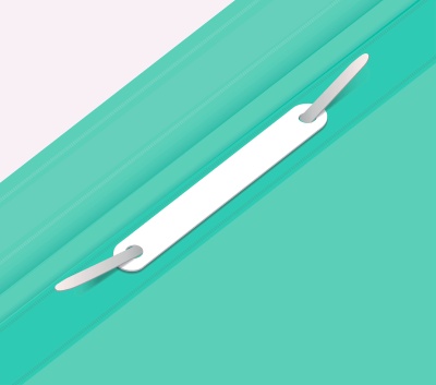 Папка-скоросшиватель Бюрократ Пастель -PSLAST/GRN A4 прозрач.верх.лист пластик мятный 0.14/0.18