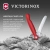 Нож кухонный Victorinox Swiss Classic 6.7801.FC1 стальной универсальный для овощей лезв.110мм прямая заточка красный карт.коробка Нож кухонный Victorinox Swiss Classic 6.7801.FC1 стальной универсальный для овощей лезв.110мм прямая заточка красный карт.коробка