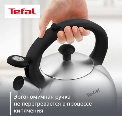 Чайник металлический Tefal Wawe N4210117 2.5л. серебристый (3110602015)