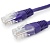 Патч-корд Premier PP12-0.25M/V 1000Гбит/с UTP 4 пары cat.5E CCA molded 0.25м фиолетовый RJ-45 (m)-RJ-45 (m)