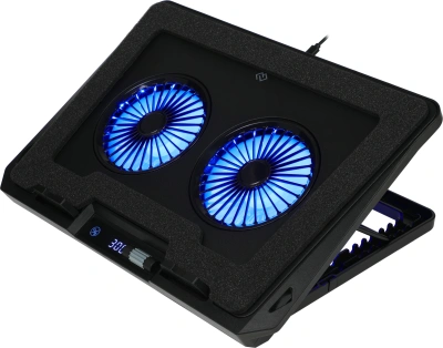 Подставка для ноутбука Digma D-NCP170-2x110RGB 18" 400x288x45мм 52дБ 2xUSB 2x 110ммFAN 1250г Fan-control металл/пластик черный