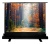 Экран Cactus 89" 135x180см FloorExpert CS-PSFLE-180X135 4:3 напольный рулонный Экран Cactus 89" 135x180см FloorExpert CS-PSFLE-180X135 4:3 напольный рулонный