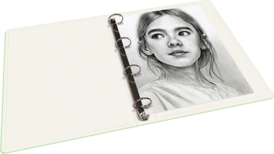 Папка панорама на 4-х кольцах Бюрократ Неон DNE0740/4RLETT A4 пластик 0.7мм кор.40мм карм.на лиц.стор. салатовый