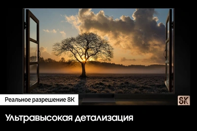 Телевизор QLED Samsung 65" QE65QN700CUXRU Q черный титан/черный 8K Ultra HD 60Hz DVB-T2 DVB-C DVB-S2 USB WiFi Smart TV (RUS)