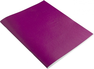 Тетрадь Buro 96л. клет. A5 202х163 1диз. бумвинил скоба