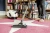 Пылесос Karcher DS 6 Plus 650Вт белый/черный Пылесос Karcher DS 6 Plus 650Вт белый/черный