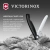 Нож кухонный Victorinox Swiss Classic (6.7833.F) стальной столовый для овощей лезв.110мм серрейт. заточка черный карт.коробка Нож кухонный Victorinox Swiss Classic (6.7833.F) стальной столовый для овощей лезв.110мм серрейт. заточка черный карт.коробка