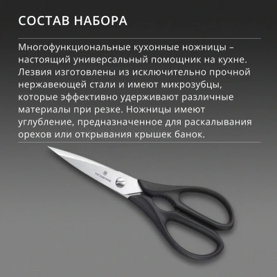 Набор ножей кухон. Victorinox Grand Maitre Cutlery Block 7.7243.6 (7.7243.6) компл.:6предм. с подставкой черный подар.коробка