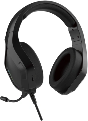 Наушники с микрофоном Оклик HS-L600G черный 2.2м мониторные USB оголовье (1939588)