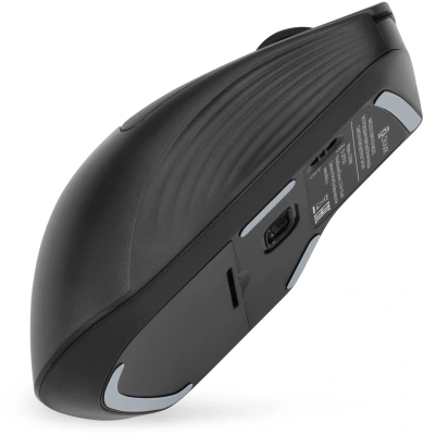 Мышь Оклик 501MW черный оптическая 2400dpi беспров. USB для ноутбука 6but (1877553)