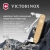 Мультитул Victorinox Companion Slim Alox (0.8170.28) 6функц. золотистый карт.коробка Мультитул Victorinox Companion Slim Alox (0.8170.28) 6функц. золотистый карт.коробка