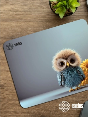 Коврик для мыши Cactus Owl gray рисунок 300x250x3мм (CS-MPC-D12M)