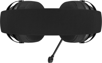 Наушники с микрофоном Acer AHW122 черный 2.1м мониторные USB оголовье (ZL.HDSCC.01U)