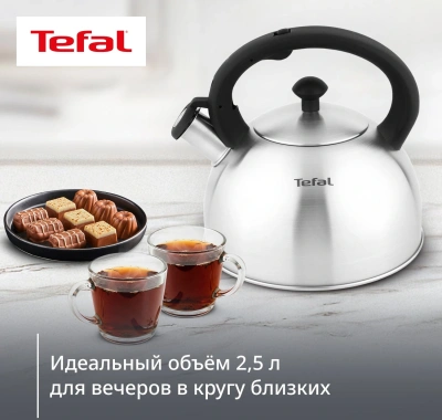 Чайник металлический Tefal Wawe N4210117 2.5л. серебристый (3110602015)