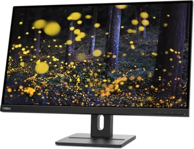 Монитор Lenovo 27" ThinkVision E27q-20 черный IPS LED 4ms 16:9 HDMI M/M матовая HAS Piv 1000:1 350cd 178гр/178гр 2560x1440 75Hz DP 2K 6.6кг
